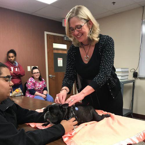 Dog receiving acupuncture 